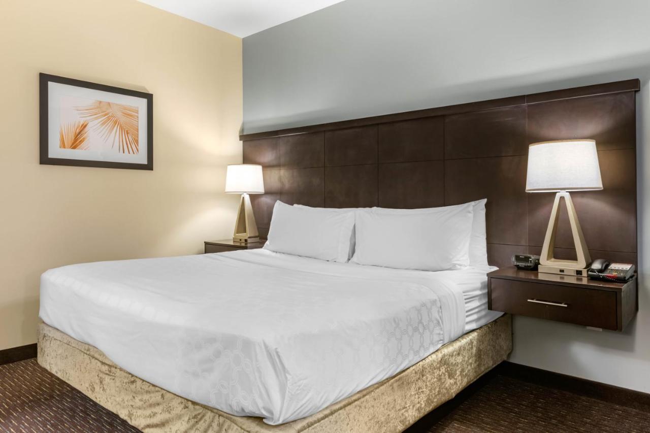 Staybridge Suites St. Petersburg Fl By Ihg Экстерьер фото
