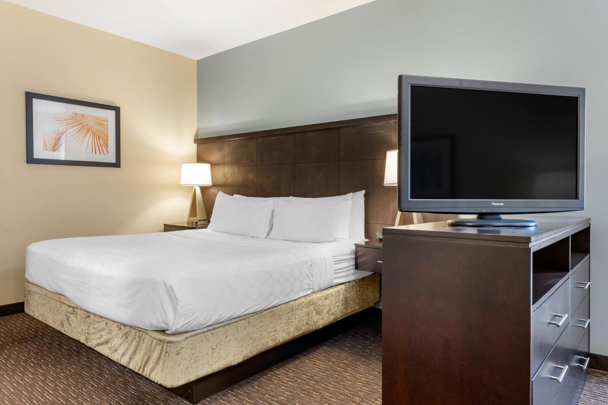 Staybridge Suites St. Petersburg Fl By Ihg Экстерьер фото
